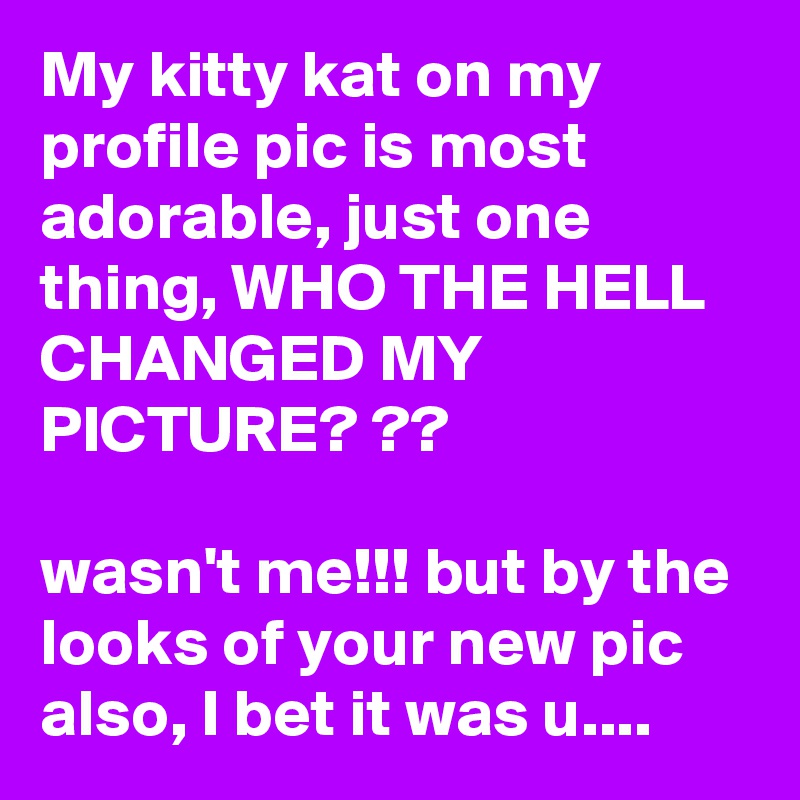 My kitty kat on my profile pic is most adorable, just one thing, WHO THE HELL CHANGED MY PICTURE? ??

wasn't me!!! but by the looks of your new pic also, I bet it was u....