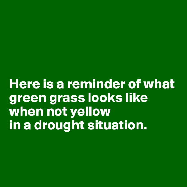 




Here is a reminder of what green grass looks like when not yellow
in a drought situation.



