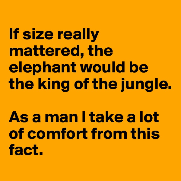 
If size really mattered, the elephant would be the king of the jungle. 

As a man I take a lot of comfort from this fact. 