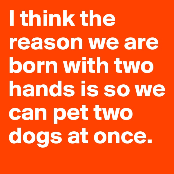I think the reason we are born with two hands is so we can pet two dogs at once. 