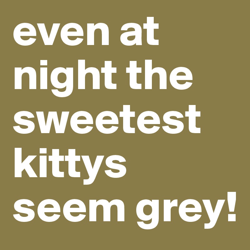 even at night the sweetest kittys seem grey! 