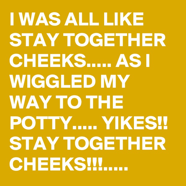 I WAS ALL LIKE STAY TOGETHER CHEEKS..... AS I WIGGLED MY WAY TO THE POTTY..... YIKES!! STAY TOGETHER CHEEKS!!!.....