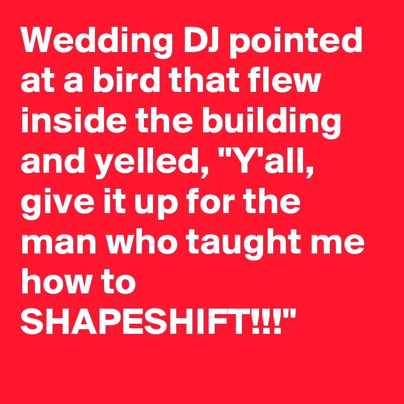 Wedding DJ pointed at a bird that flew inside the building and yelled, "Y'all, give it up for the man who taught me how to SHAPESHIFT!!!"