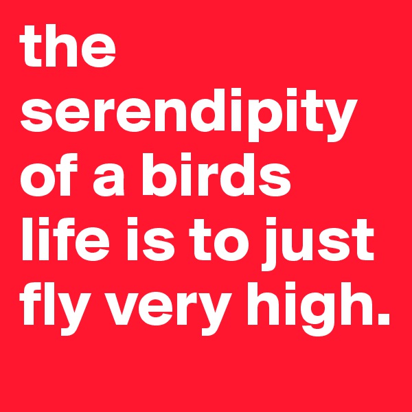 the serendipity of a birds life is to just fly very high.       