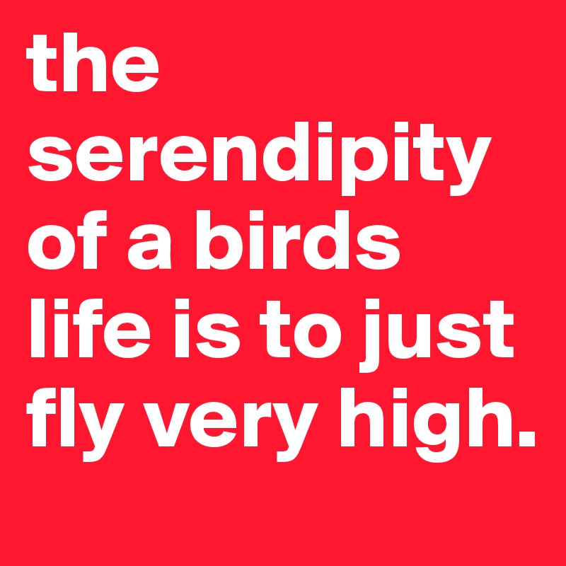 the serendipity of a birds life is to just fly very high.       