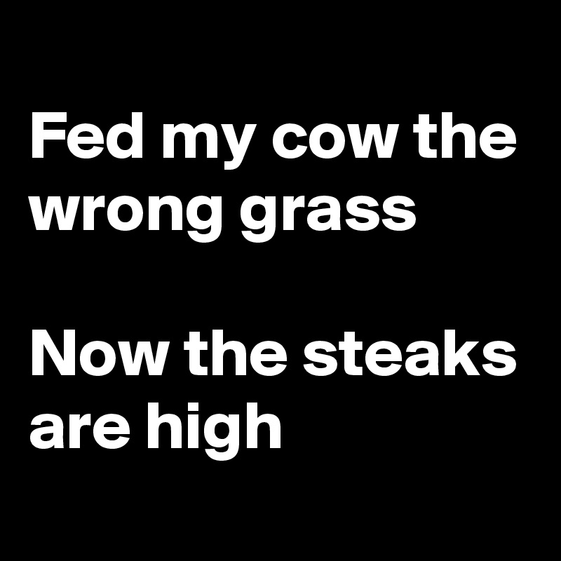 
Fed my cow the wrong grass

Now the steaks are high