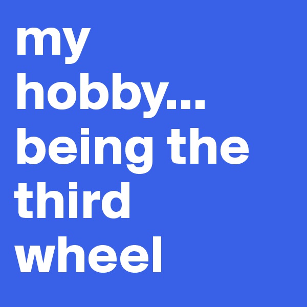 my hobby...   being the   third wheel