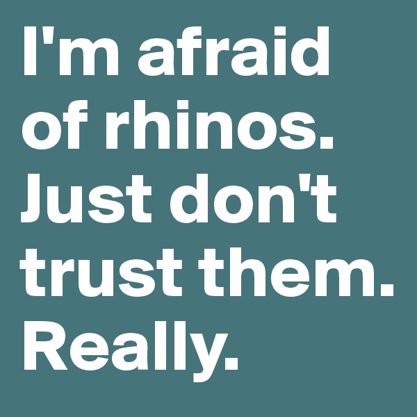 I'm afraid of rhinos. Just don't trust them. Really.