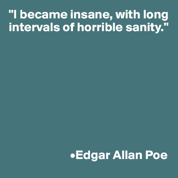 "I became insane, with long intervals of horrible sanity."









                        •Edgar Allan Poe