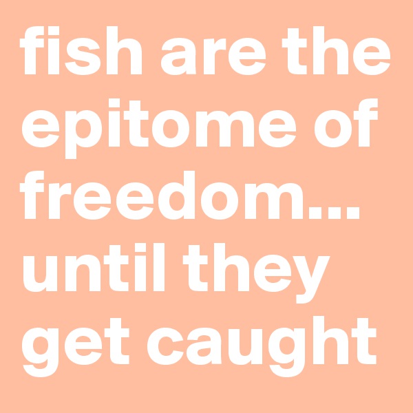 fish are the epitome of freedom...until they get caught