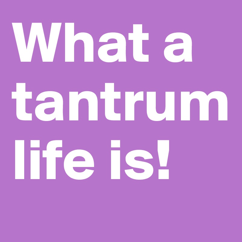 What a tantrum life is!