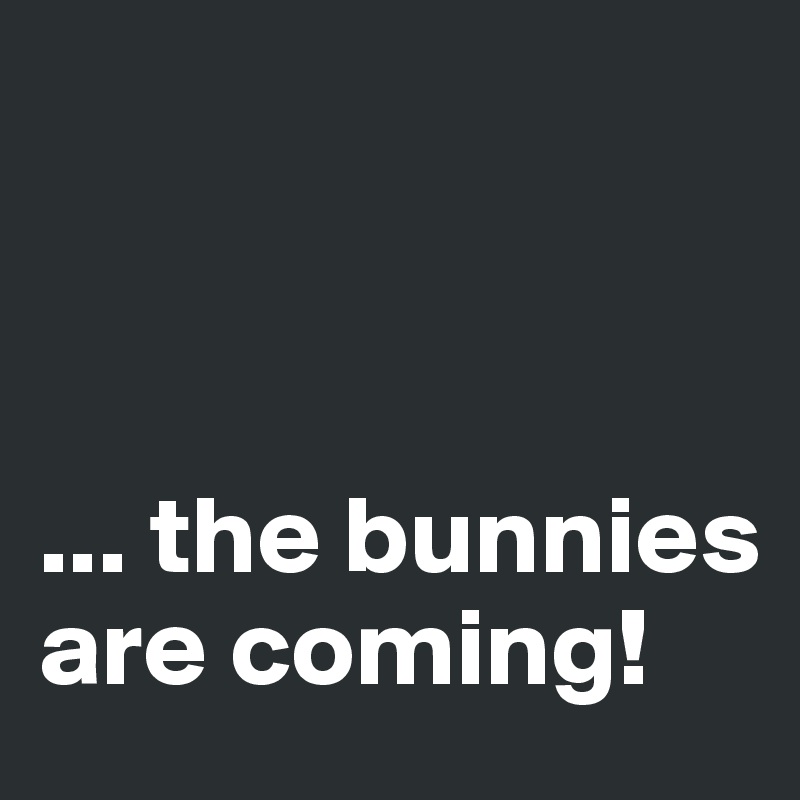 



... the bunnies are coming!