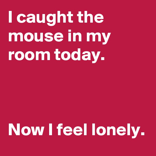 I caught the mouse in my room today.



Now I feel lonely. 