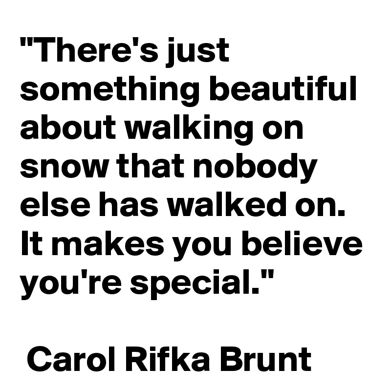 "There's just something beautiful about walking on snow that nobody else has walked on. It makes you believe you're special."

 Carol Rifka Brunt