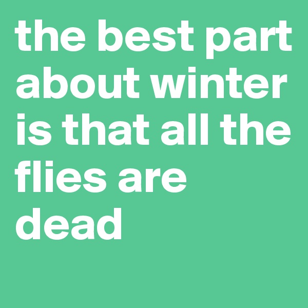 the best part about winter is that all the flies are dead