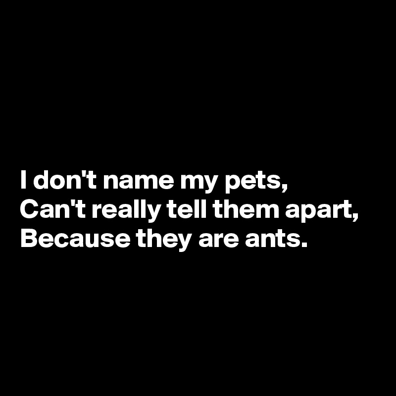




I don't name my pets,
Can't really tell them apart,
Because they are ants.



