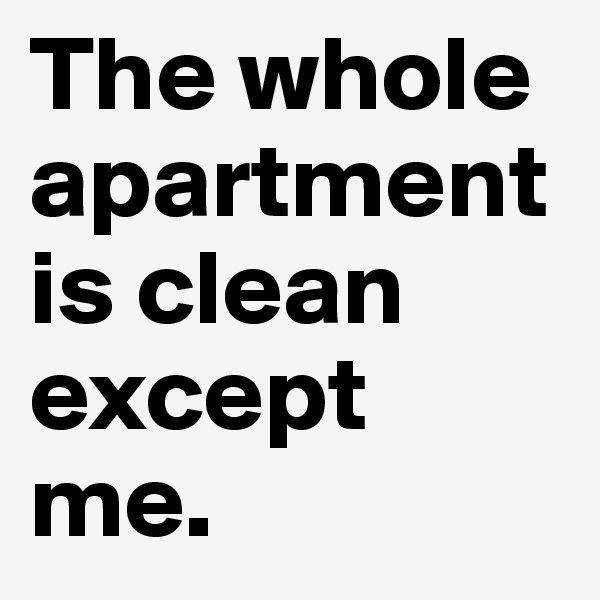 The whole apartment is clean except me.