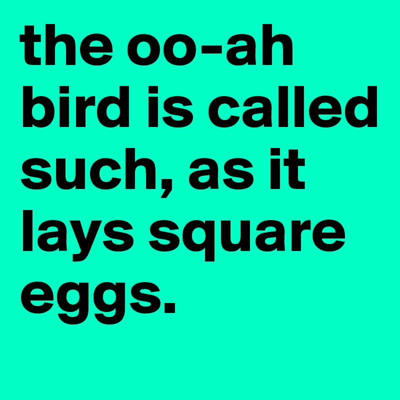 the oo-ah bird is called such, as it lays square eggs.