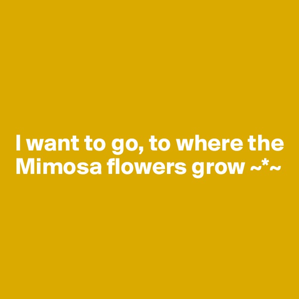  



                          
I want to go, to where the Mimosa flowers grow ~*~



