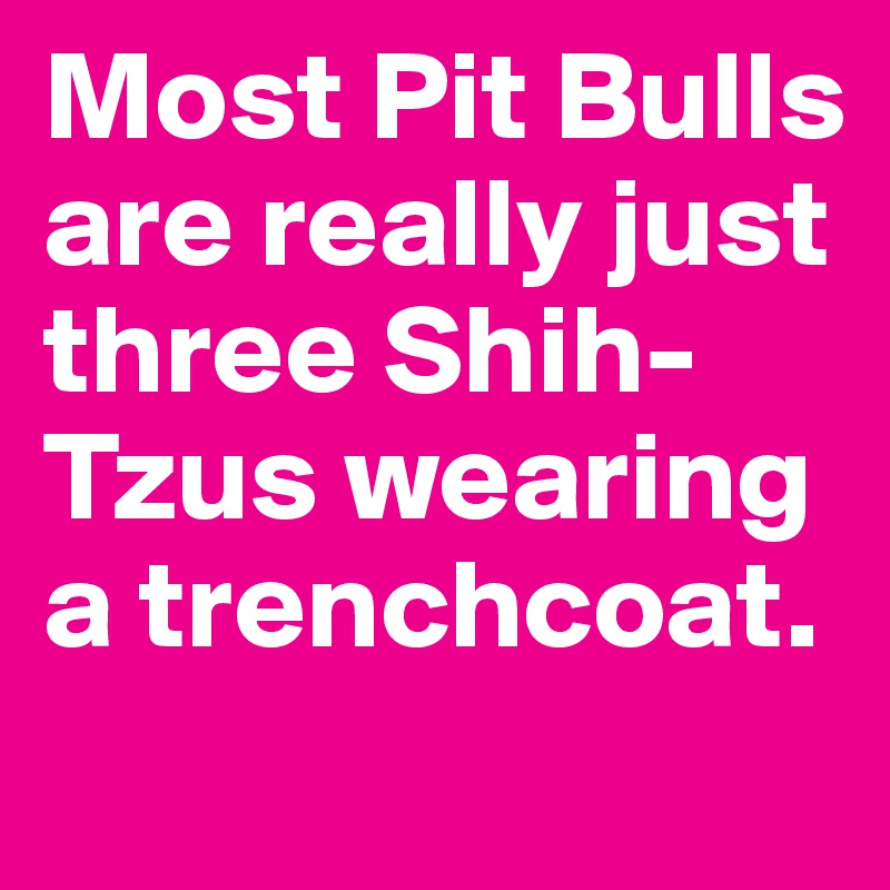 Most Pit Bulls are really just three Shih-Tzus wearing a trenchcoat. 
