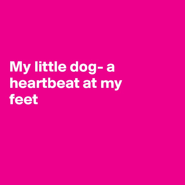 


My little dog- a heartbeat at my
feet



