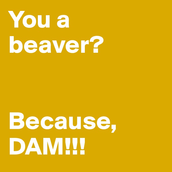 You a beaver? 


Because, DAM!!!