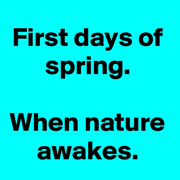 First days of spring.

When nature awakes.