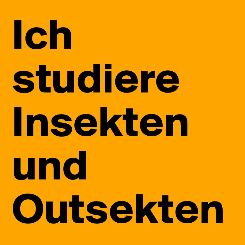Ich studiere Insekten und Outsekten