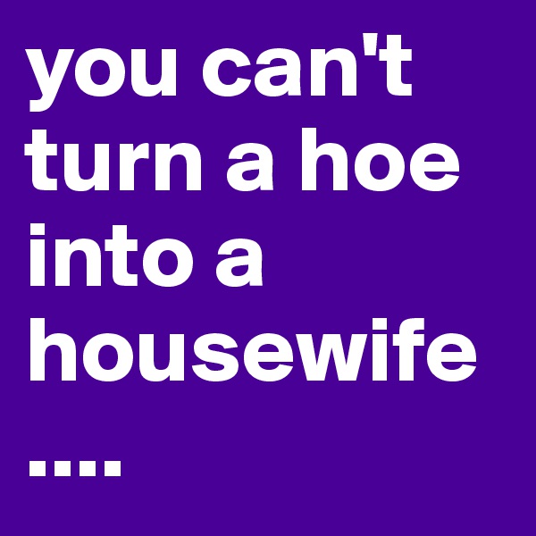 you can't turn a hoe into a housewife
....