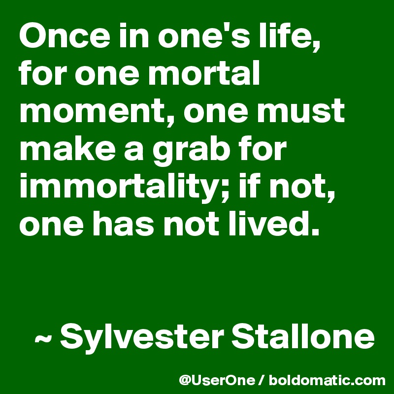 Once in one's life, for one mortal moment, one must make a grab for immortality; if not, one has not lived.


  ~ Sylvester Stallone