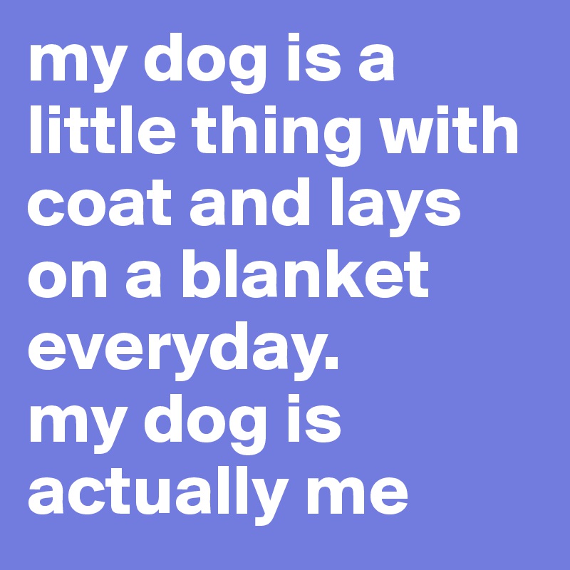 my dog is a little thing with coat and lays on a blanket everyday.
my dog is actually me