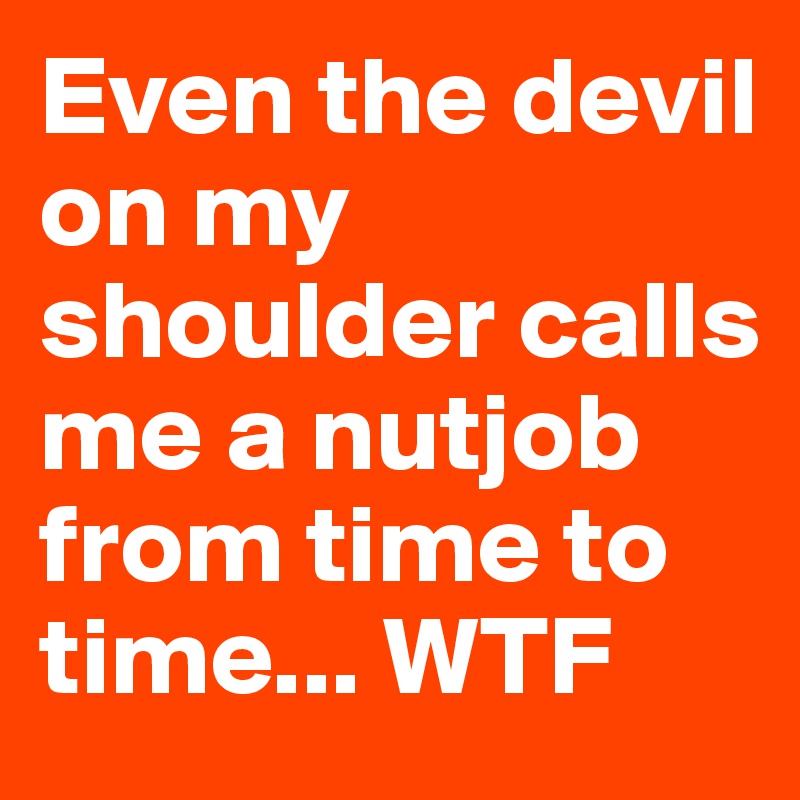 Even the devil on my shoulder calls me a nutjob from time to time... WTF