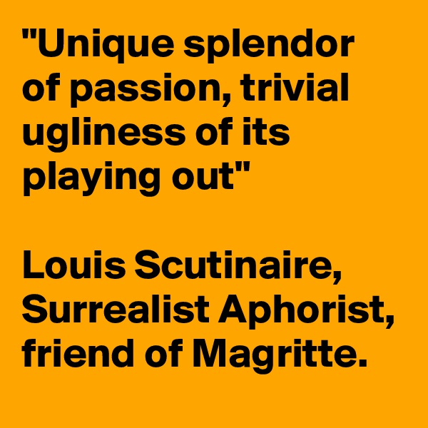 "Unique splendor of passion, trivial ugliness of its playing out"

Louis Scutinaire, Surrealist Aphorist, friend of Magritte.