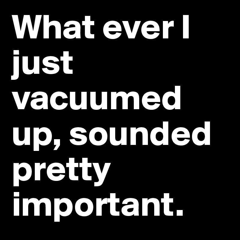 What ever I just vacuumed up, sounded pretty important. 