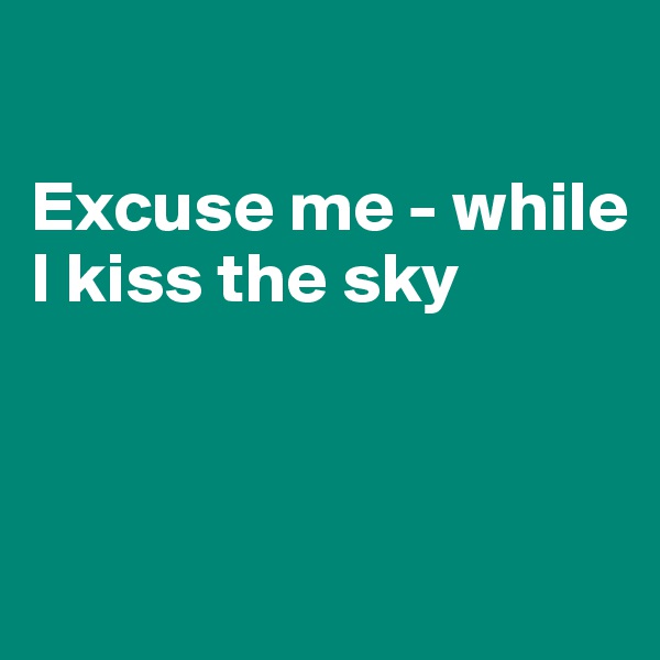 

Excuse me - while I kiss the sky



