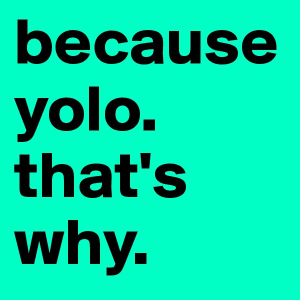 because yolo. that's why. 