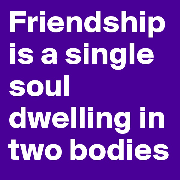 Friendship is a single soul dwelling in two bodies 