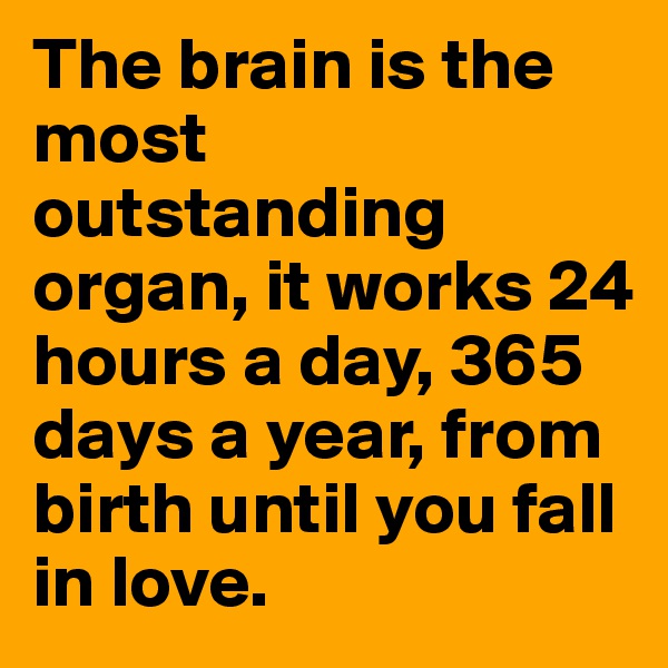 The brain is the most outstanding organ, it works 24 hours a day, 365 days a year, from birth until you fall in love.  