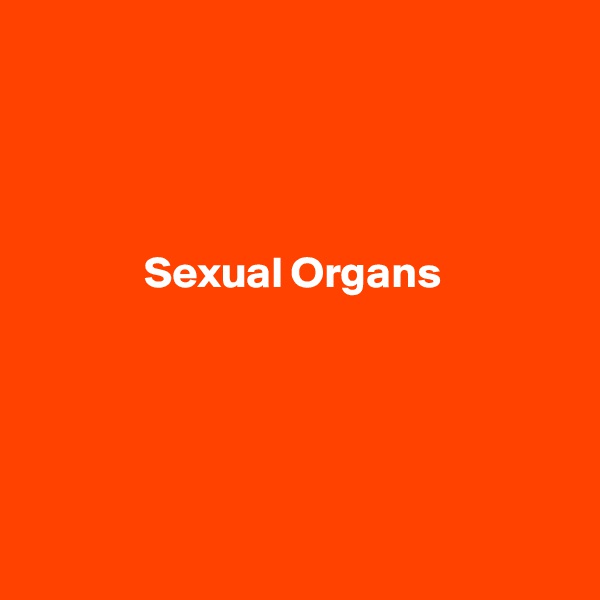 




             Sexual Organs





