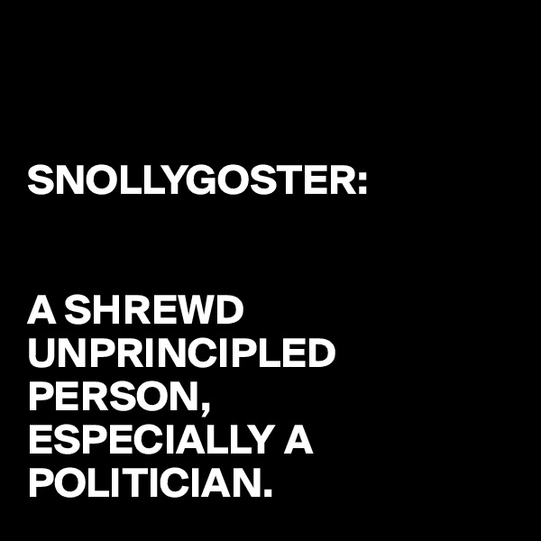 


SNOLLYGOSTER:


A SHREWD UNPRINCIPLED PERSON,
ESPECIALLY A 
POLITICIAN.