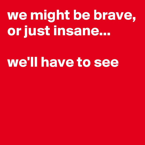 we might be brave, or just insane...

we'll have to see



