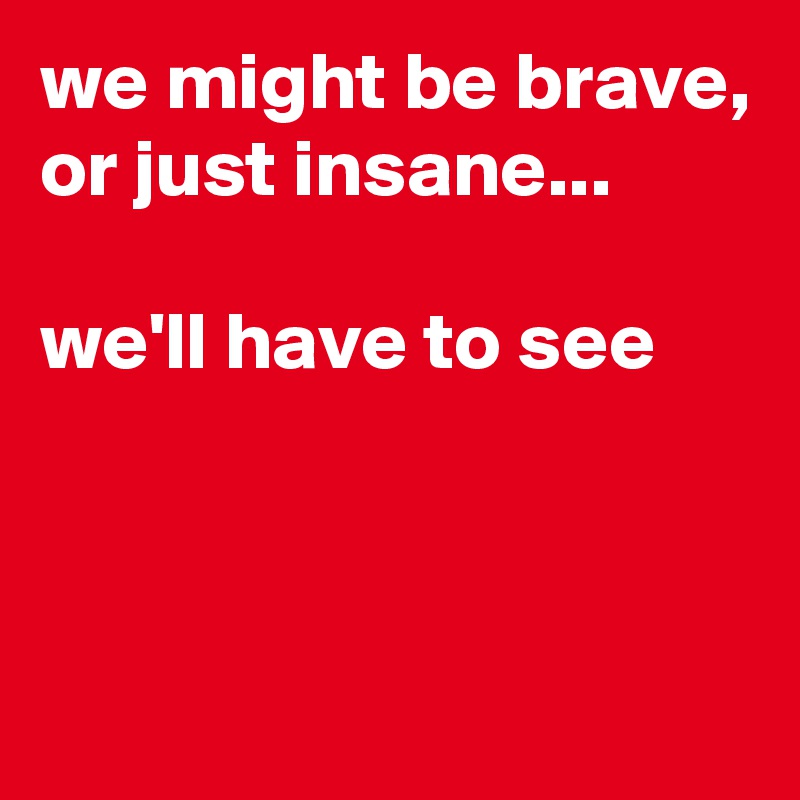we might be brave, or just insane...

we'll have to see



