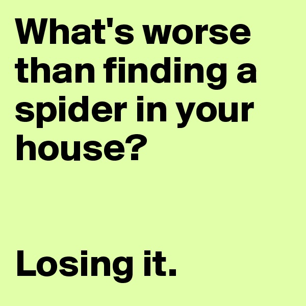 What's worse than finding a spider in your house?


Losing it.