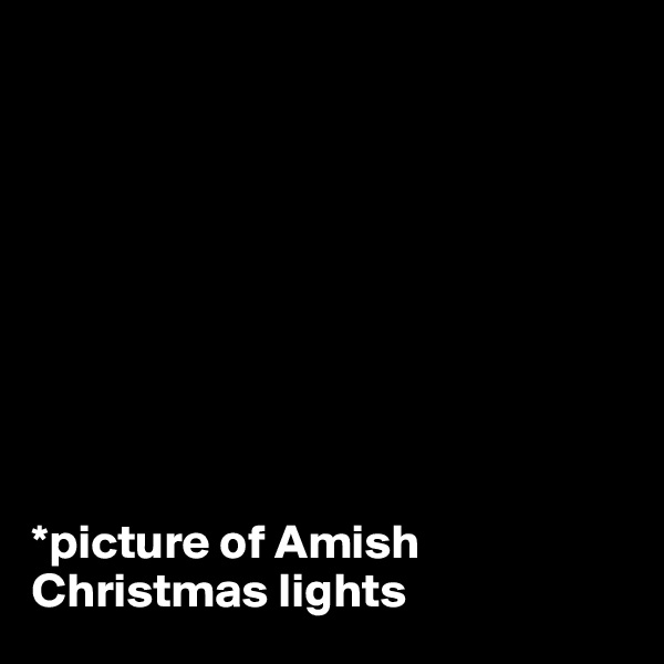 









*picture of Amish Christmas lights