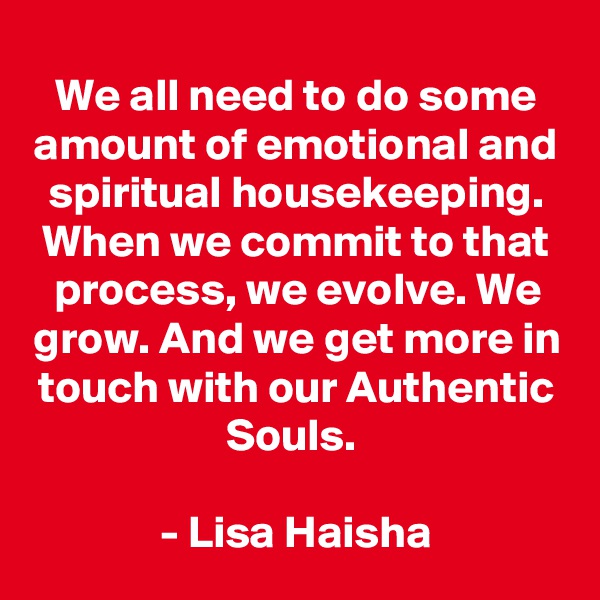 We all need to do some amount of emotional and spiritual housekeeping. When we commit to that process, we evolve. We grow. And we get more in touch with our Authentic Souls. 

- Lisa Haisha