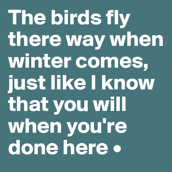 The birds fly there way when winter comes, just like I know that you will when you're done here •