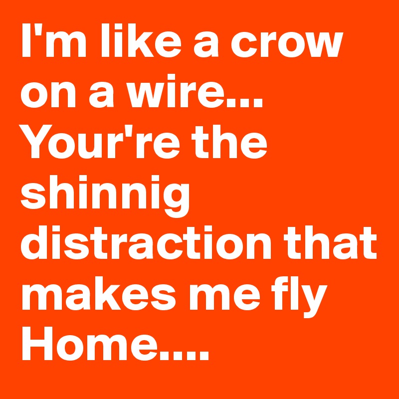 I'm like a crow on a wire...
Your're the shinnig distraction that makes me fly
Home....