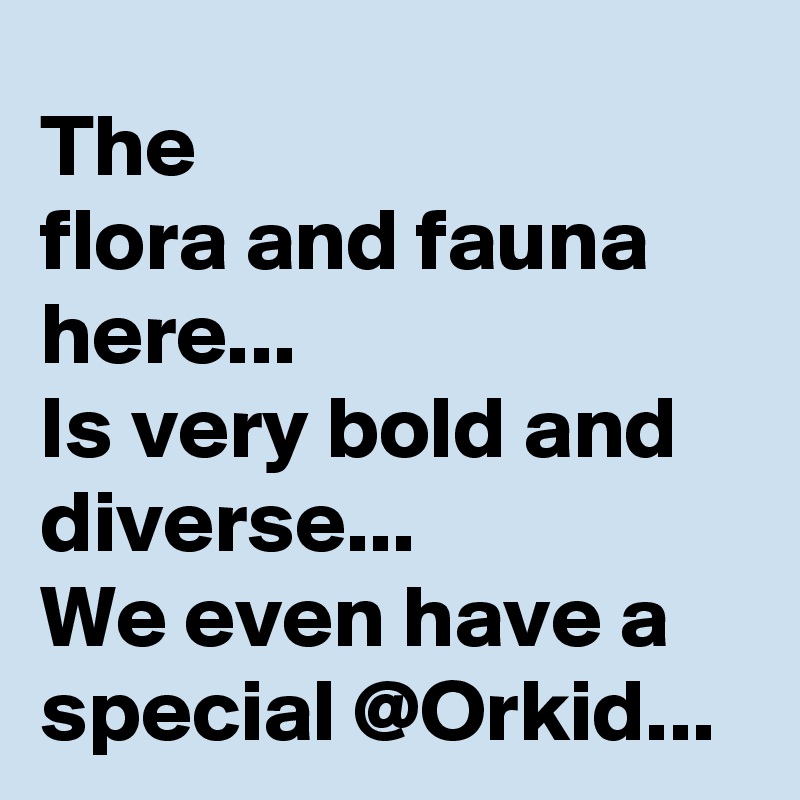The 
flora and fauna here... 
Is very bold and diverse...
We even have a special @Orkid... 