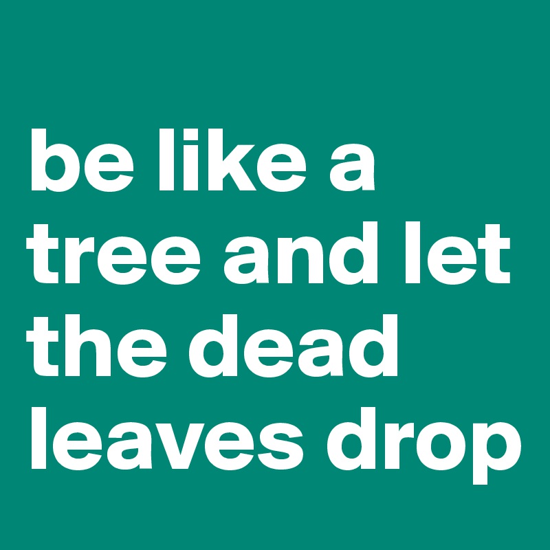 
be like a tree and let the dead leaves drop