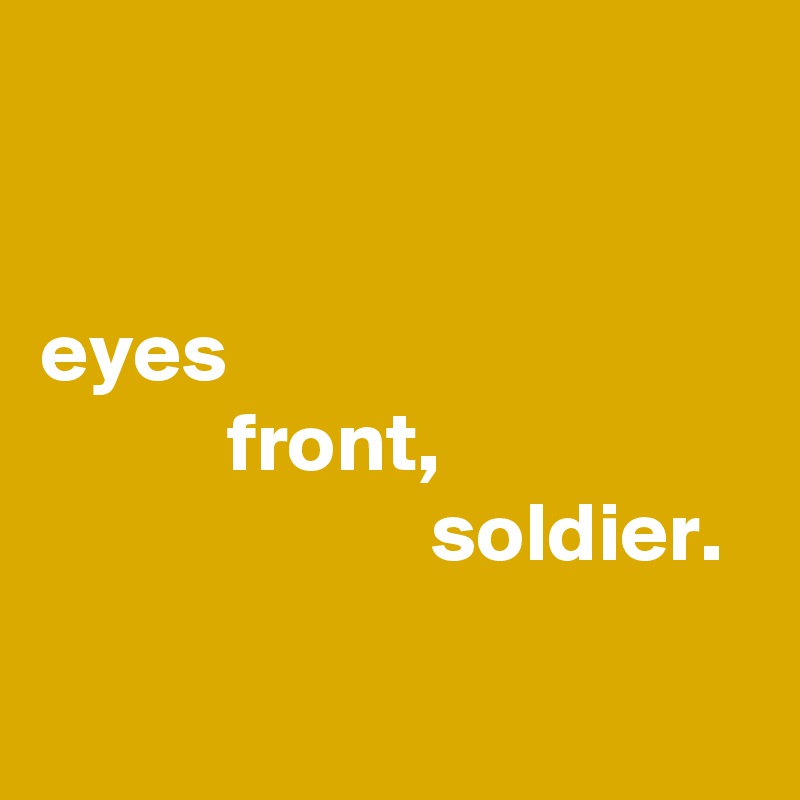 


eyes
           front,
                       soldier.

